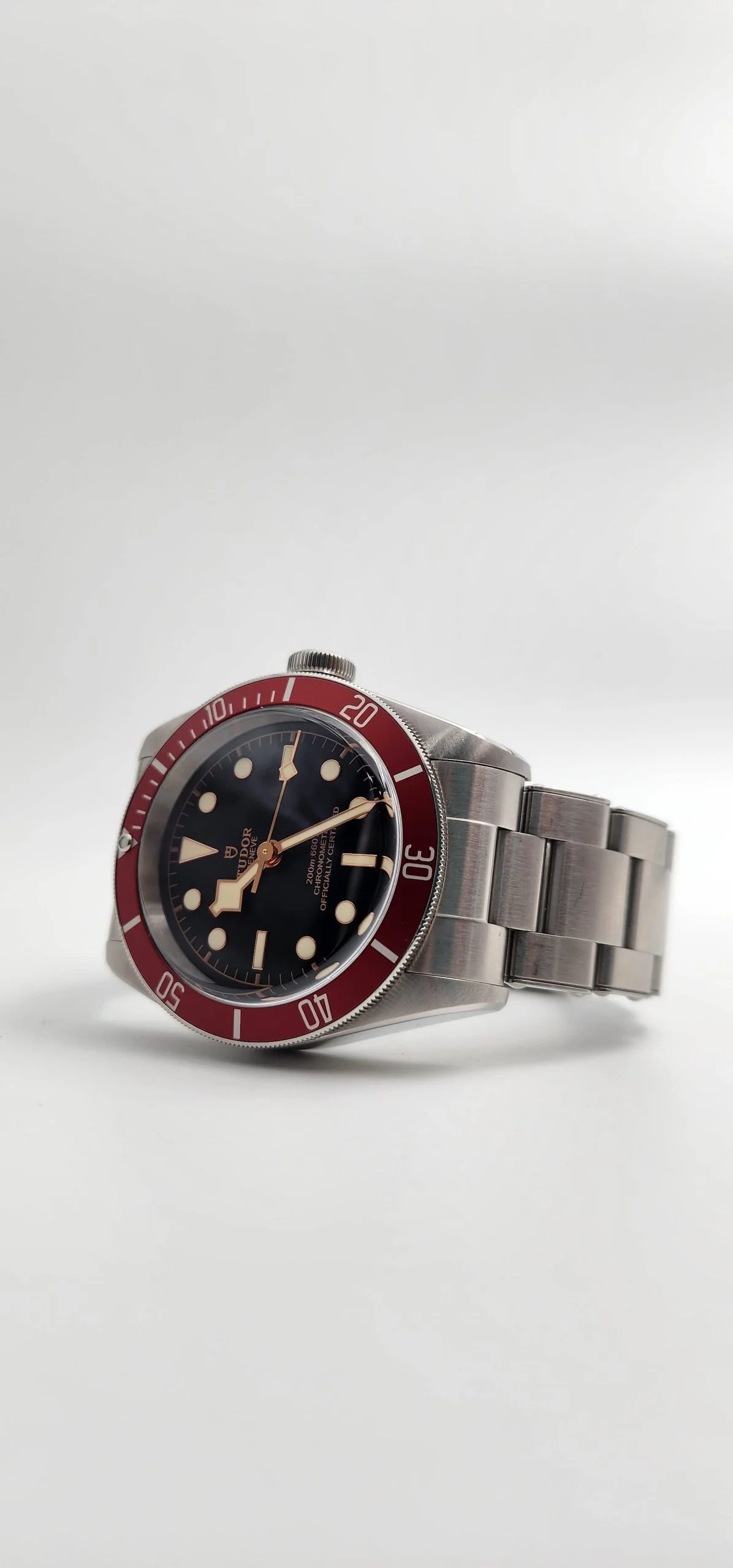 Tudor Black Bay heritage